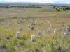 PICTURES/Little Bighorn Battlefield/t_Last Stand Hill2.JPG